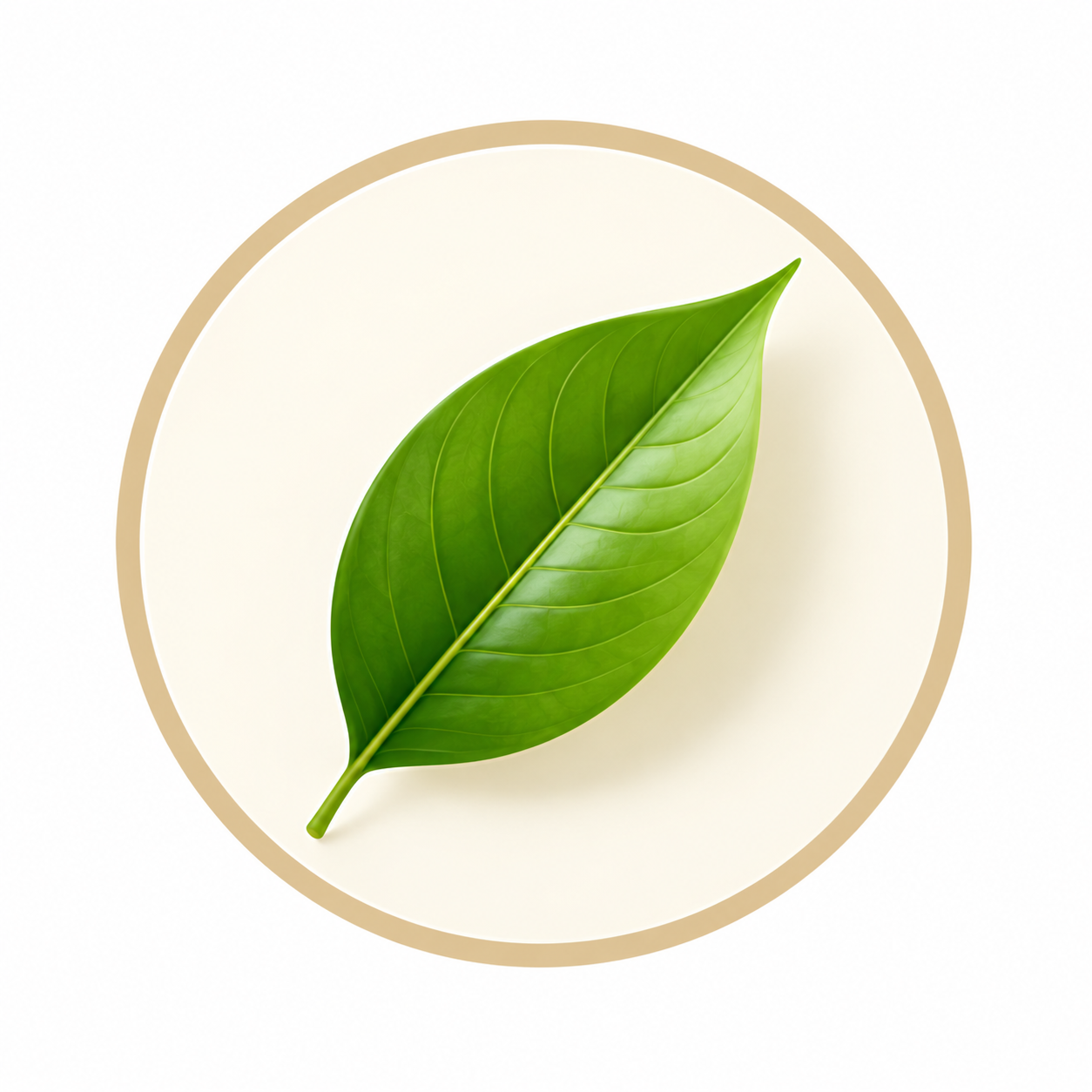 Kerala Tradition Leaf